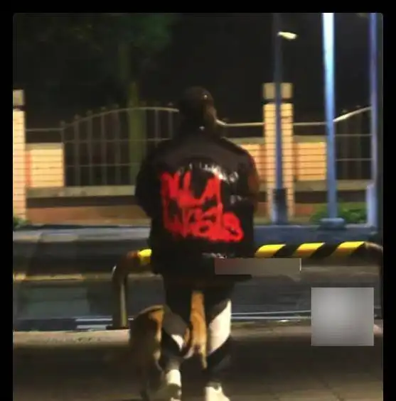 萧亚轩在街头独自遛狗,被咬毁容也不离不弃,和小16岁男友仍分居
