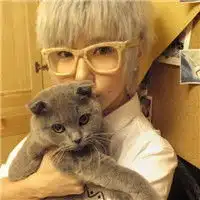 求另一个男生抱猫咪情侣头像