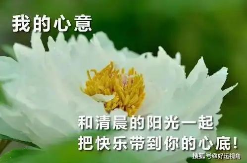 精选问候大家早安祝福语初春早上好祝福语阳光正能量句子
