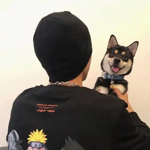 好看的头像不止一张
