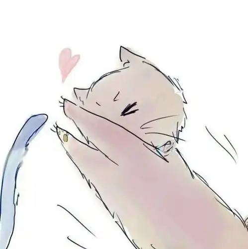 私藏大量猫情头,就差有个男朋友
