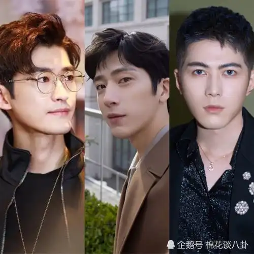 32名跨世代黄金男艺人参加综艺哥哥的滚烫人生你最期待谁
