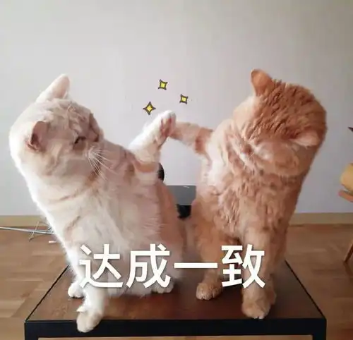 暴力冲关黑车拒绝检查竟撞开执法车逃逸司机获刑八个月
