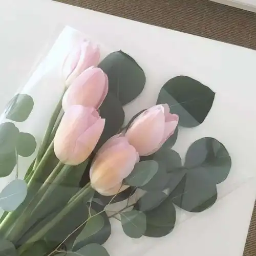 网易云扎心热评谁不想一爱三五年,是时间难得还是我不值得
