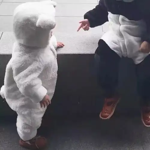 都是假的