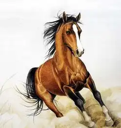 2014年属相2014年属什么生肖
