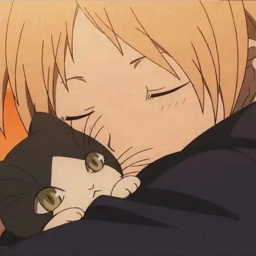 温柔到骨子里的动漫男头
