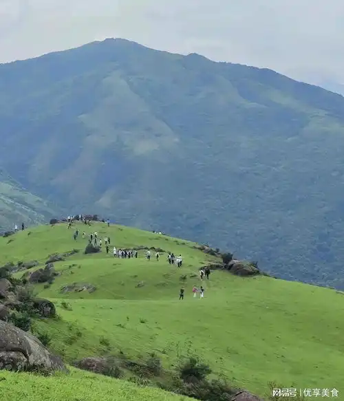 去不了武功山那就去望洲顶,光爬上去就让人豁然开朗,屏保级风景
