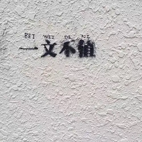 北漂沪漂坚持的理由是什么
