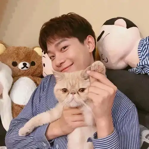 治愈系男生抱猫头像总有一些温暖与你不期而遇
