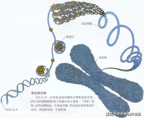 地球上本来并没有人类,那么第一个男人和女人是从哪来的
