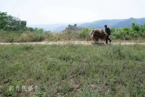 他们,是山乡的生机,是大山的魂
