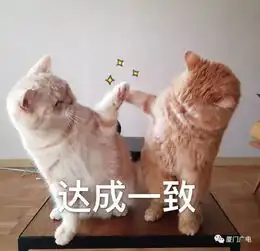 重磅厦门坐地铁brt公交车的赶紧看优惠票价下月起实施这样坐车不花钱

