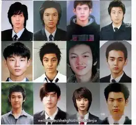 宋茜尼坤宋慧乔金泰熙谢娜中韩明星证件照比美
