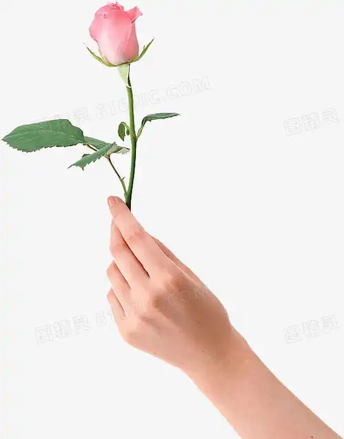 手拿玫瑰花霸气头像