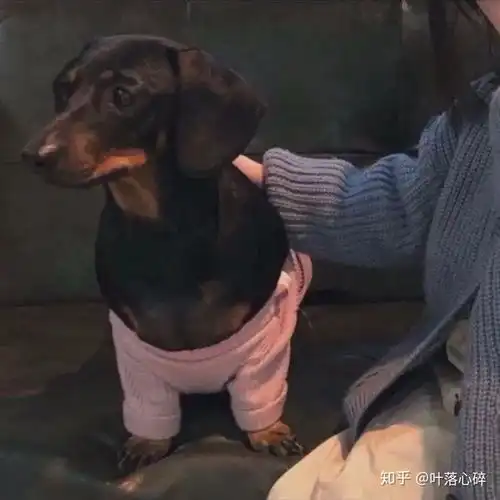 第一眼就比较心动的情侣头像
