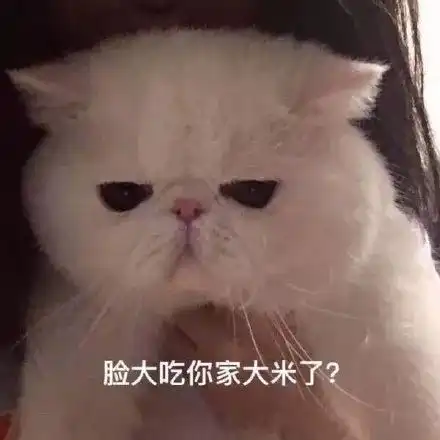 今日份热门表情包
