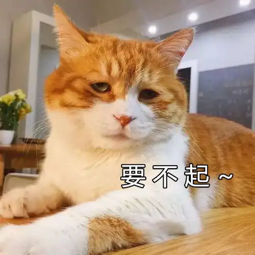 回忆杀走一波那些年老师们的经典语录
