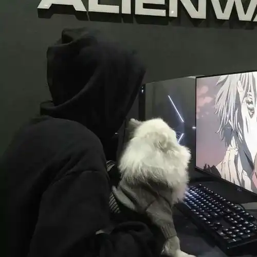 马有道中文咚鼓根本你不懂得爱我收藏会员列表
