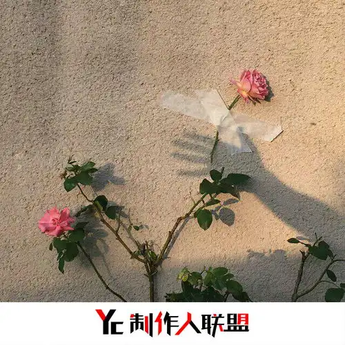 playformearst7高音质在线试听playforme歌词歌曲下载酷狗音乐
