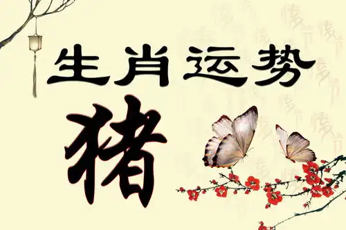 从今以后三年好运势,发财谈恋爱事业三辉煌的3大生肖
