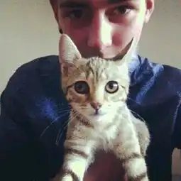 欧美抱猫的情头,如图所示,求原图,一不小心换头像就再也找不到了
