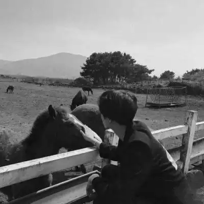 有人让我觉得温暖,伤感好看的男生黑白头像图片
