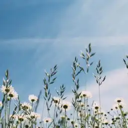 此时风景美丽的图片,我想和你在一起
