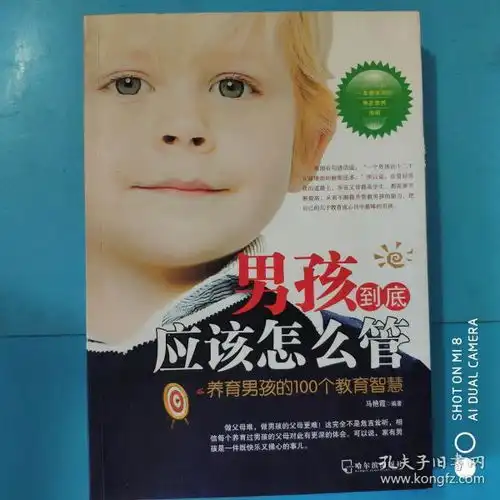 男孩到底应该怎么管养育男孩的100个教育智慧
