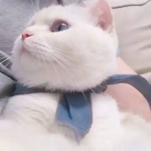 你以为你一直等下去就有结果
