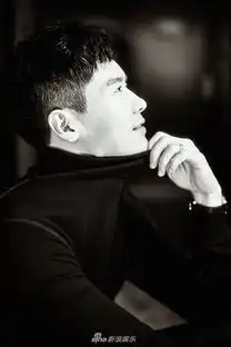 组图高云翔黑白光影写真成熟帅气诠释质感男人
