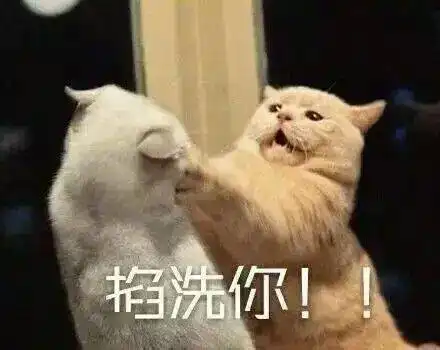 你知道大王的名字叫什么吗

