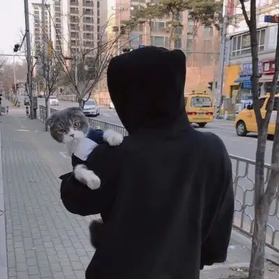 帅气头像大全帅气的qq头像帅气头像男生女生腾牛个性网
