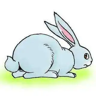 耐耐老师讲故事兔子尾巴
