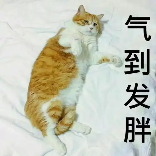 宁都人注意了,最新年度灾难大片来了
