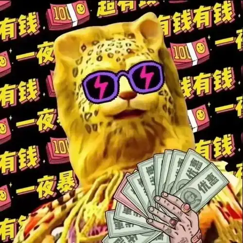 热门金钱豹合集
