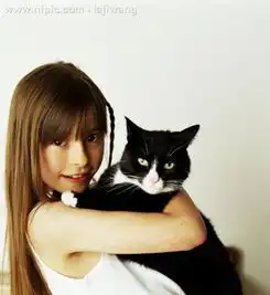 求女生男生抱猫的唯美头像
