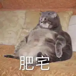 景甜光靠这一点就秒杀刘亦菲范冰冰
