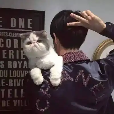 男生伤感背影头像
