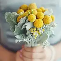 手捧鲜花头像图片大全微信头像图片大全
