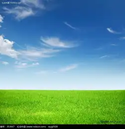 蓝天白云下的绿色草地图片风景图片303667
