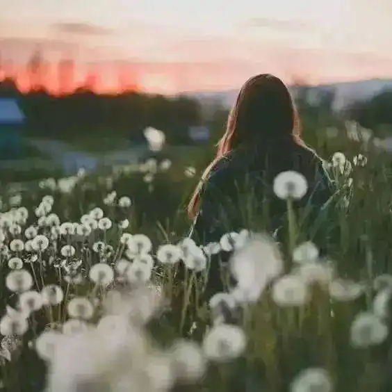 你再好,也不能让所有人满意
