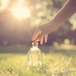 谁有类似于这样的图片
