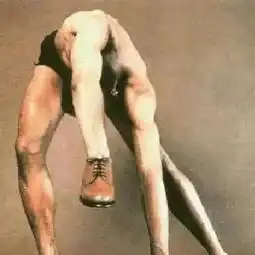 6张让你产生幻觉的照片,第一眼就看到熊猫说明你是火眼金睛
