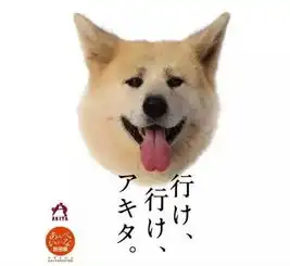 日本三年签必须要去的几个地方,有什么好玩的吗秋田篇
