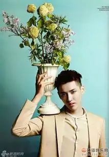 鹿晗吴亦凡李易峰黄晓明帅到没朋友的西装男神
