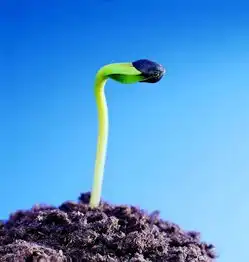 诗歌群第六十三期
