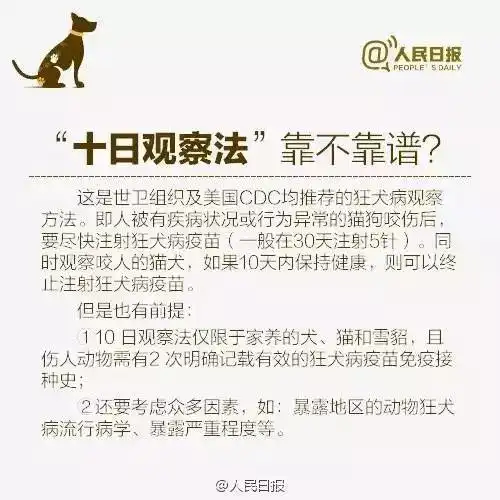 恶犬连咬4人6岁男童治疗出院后病情复发身亡
