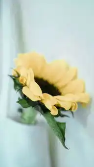 日系风的小清新简约图片很日唯美图片我要个性网
