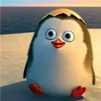黄昏两只企鹅头像微信头像图片大全
